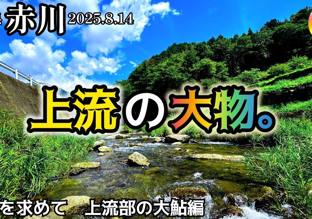 【鮎釣り2025】赤川、黒川（岐阜県）｜8月14日（木）【友釣り】※白川支流