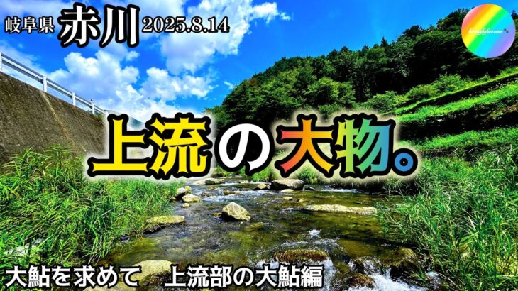 【鮎釣り2025】赤川、黒川（岐阜県）｜8月14日（木）【友釣り】※白川支流