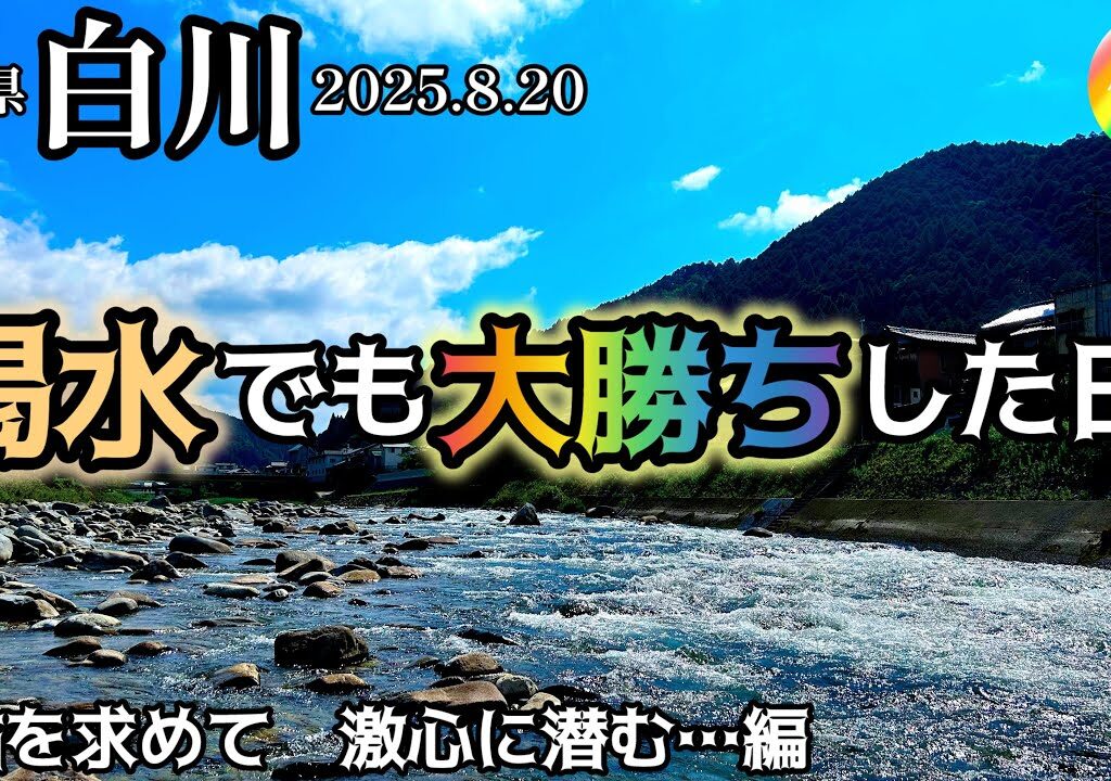 【鮎釣り2025】白川（岐阜県）｜8月20日（水）【友釣り】