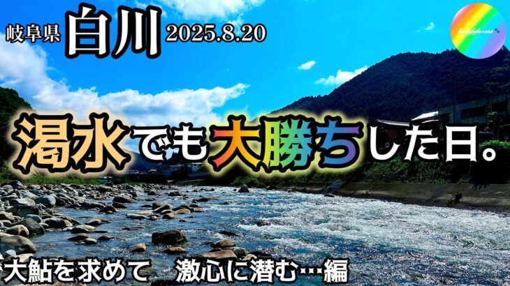 【鮎釣り2025】白川（岐阜県）｜8月20日（水）【友釣り】