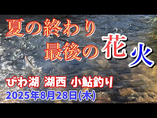 【2025/8/28】今シーズン最後の小鮎釣りも湖西のあの川へ。多少の雨が降ったみたいだけどその結果は？