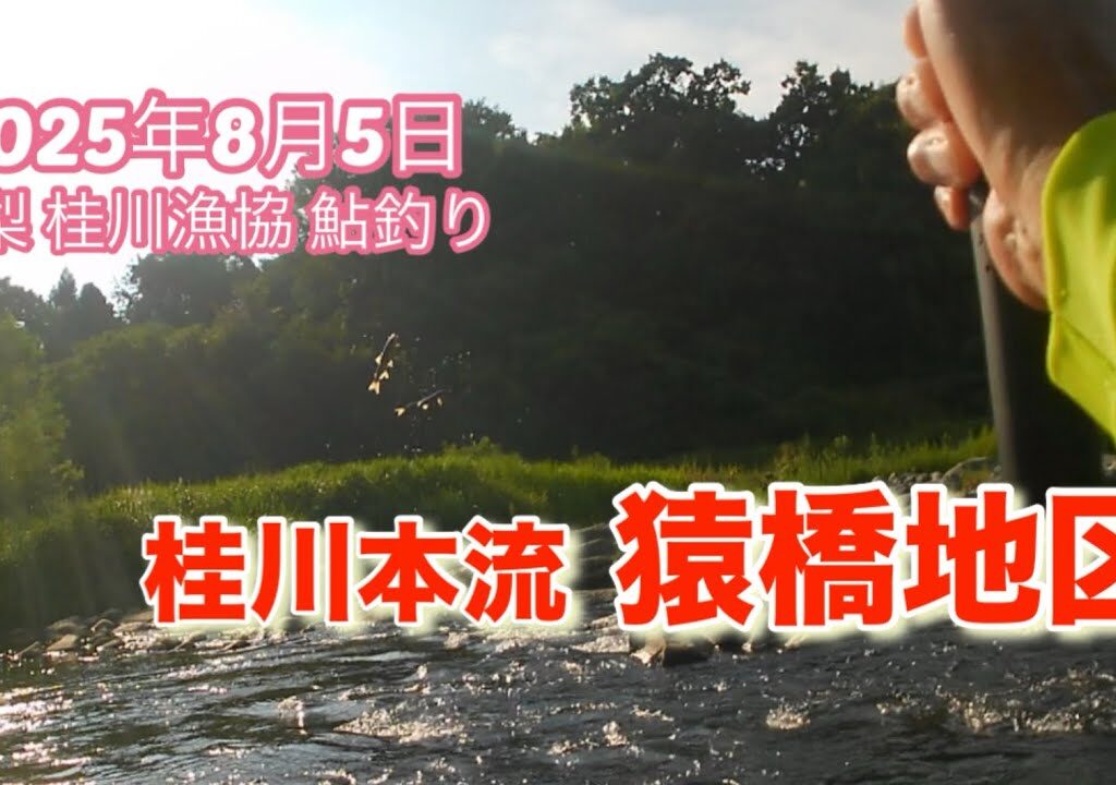 山梨県桂川漁協 桂川本流 猿橋地区 鮎釣り 2025年8月5日 全国の最高気温が更新された暑い日はガラガラでした🤭