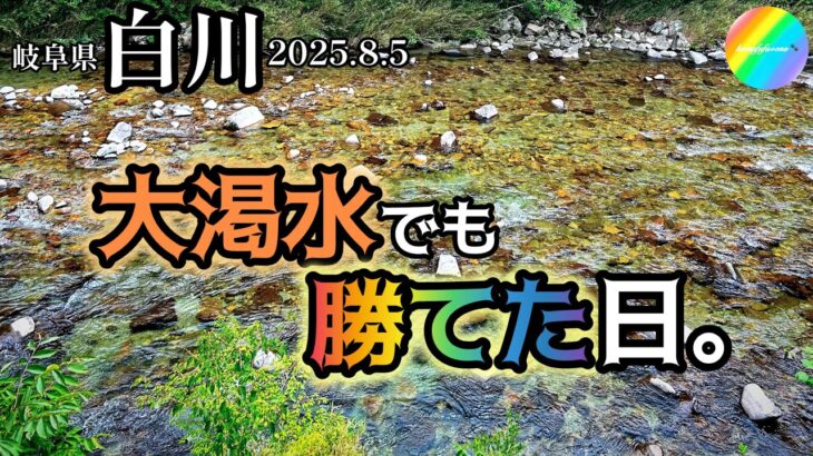 【鮎釣り2025】白川（岐阜県）｜8月5日（火）【友釣り】