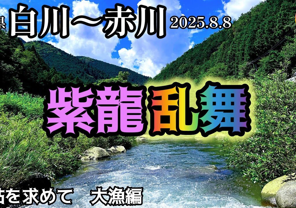 【鮎釣り2025】白川、赤川（岐阜県）｜8月8日（金）【友釣り】