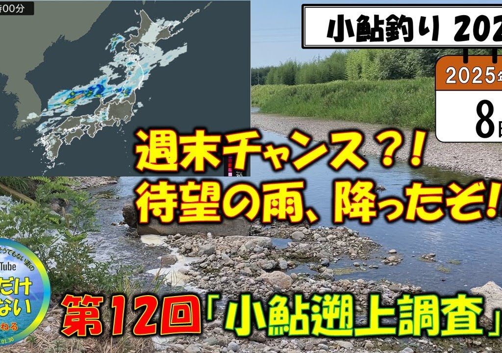 超速報！【小鮎釣り2025】待望の雨、降ったぞ！さあ、どう変わる？犬上川＆芹川。8月8日（金）、第12回「小鮎遡上調査」。週末、滋賀に釣行に来る前に、是非見てほしい動画。