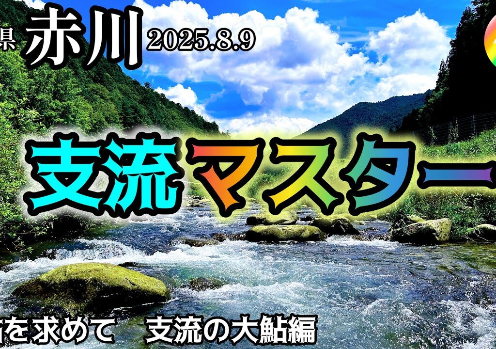 【鮎釣り2025】赤川（岐阜県）｜8月9日（土）【友釣り】※白川、黒川支流