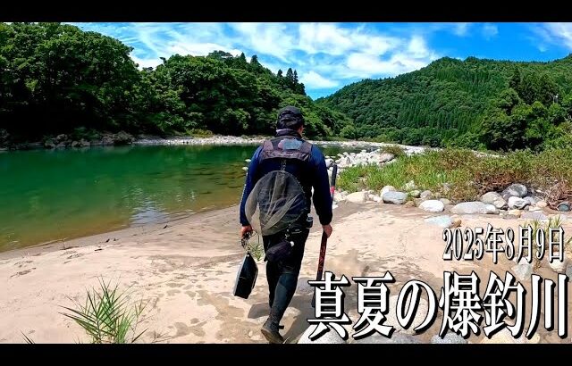 鮎歴2年目の初心者が絶景の川へ遠征したら……。2025年8月9日岐阜県高原川で入れ掛かりを経験しました。