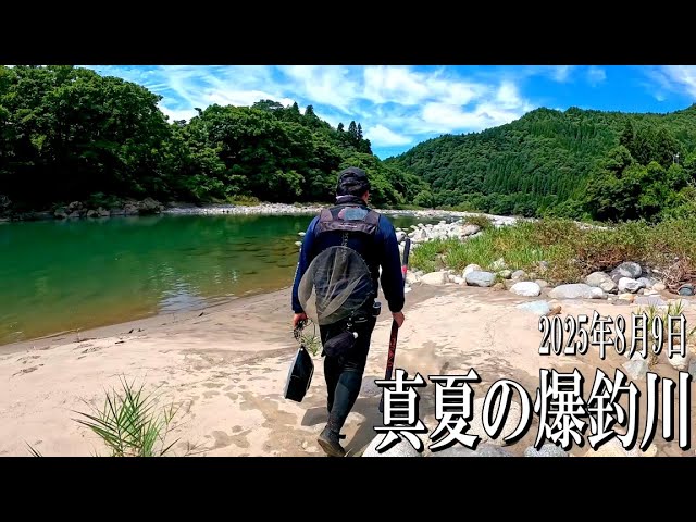 鮎歴2年目の初心者が絶景の川へ遠征したら……。2025年8月9日岐阜県高原川で入れ掛かりを経験しました。