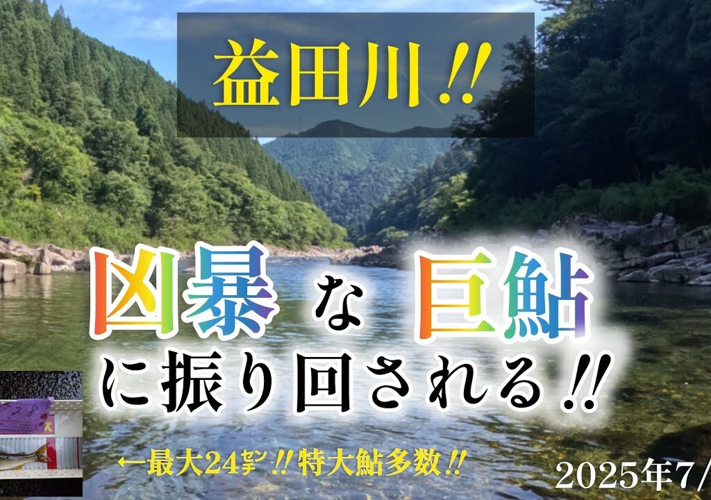 益田川‼️凶暴な巨鮎に振り回される‼️最大24㌢‼️特大鮎多数‼️2025年7/28