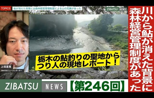 【第246回】鮎が消えた背景には森林経営管理制度による山の荒廃があった