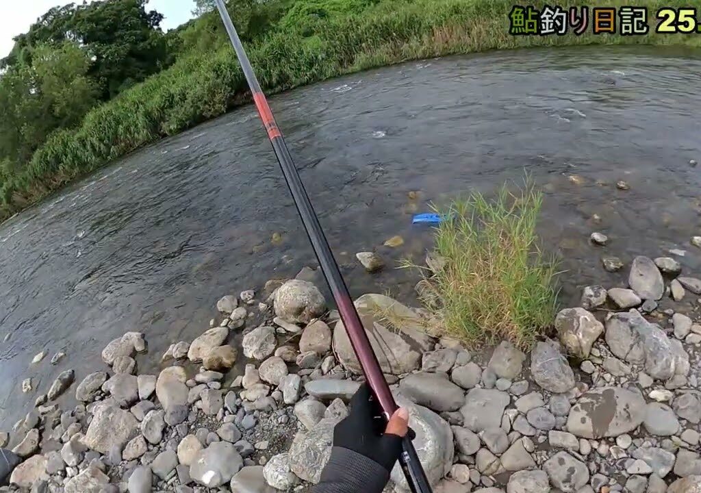 鮎釣り日記 25 8 17