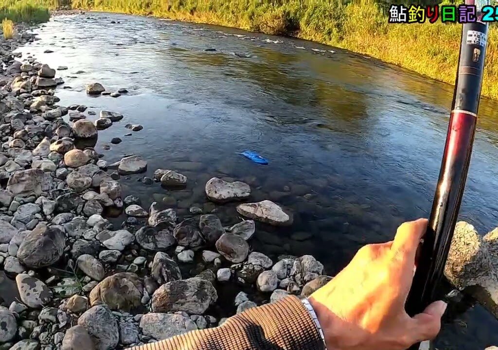 鮎釣り日記 25 8 18