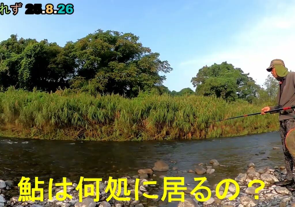 鮎釣り日記 25 8 26