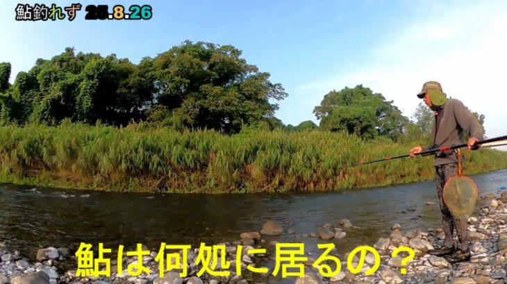 鮎釣り日記 25 8 26