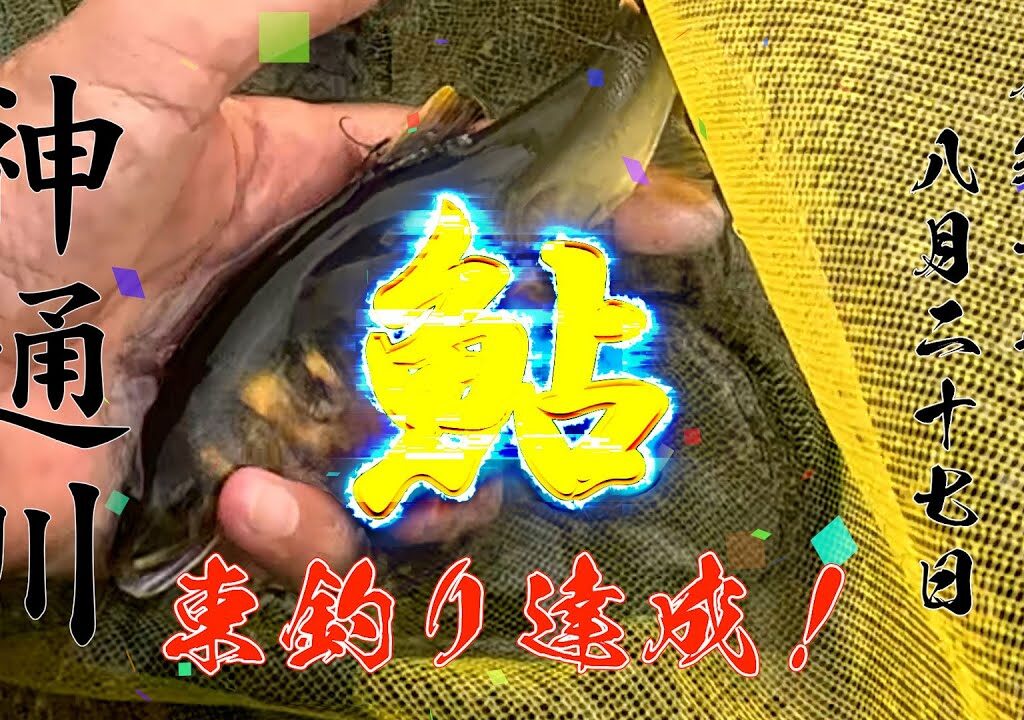 25 8 27 祝 束釣り 神通川 鮎