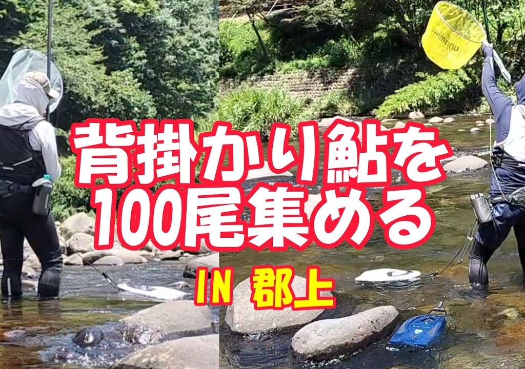 鮎釣り　縄張り鮎だけを狙った2日間／背掛DNA鮎プロジェクトに参加