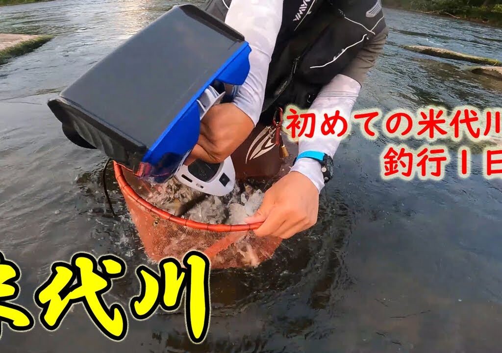 【鮎釣り】圧倒的魚影‼︎米代川の素晴らしさ知りました｜初・米代川2days｜1日目