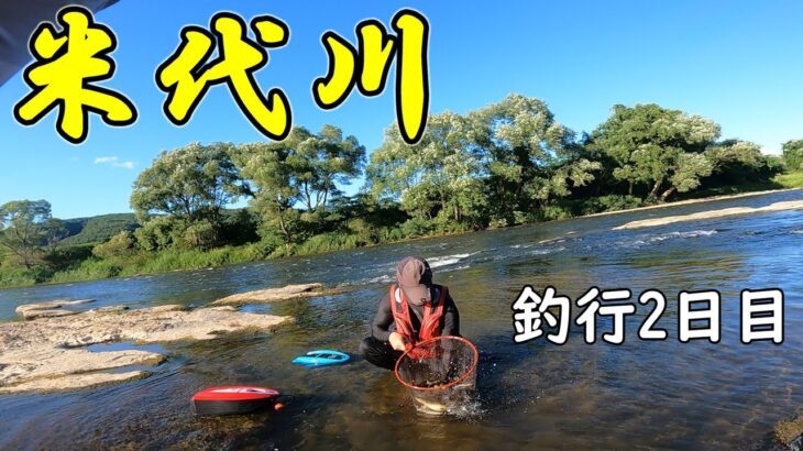 【鮎釣り】米代川楽しみました！数釣りの二日目｜初・米代川2days｜2日目