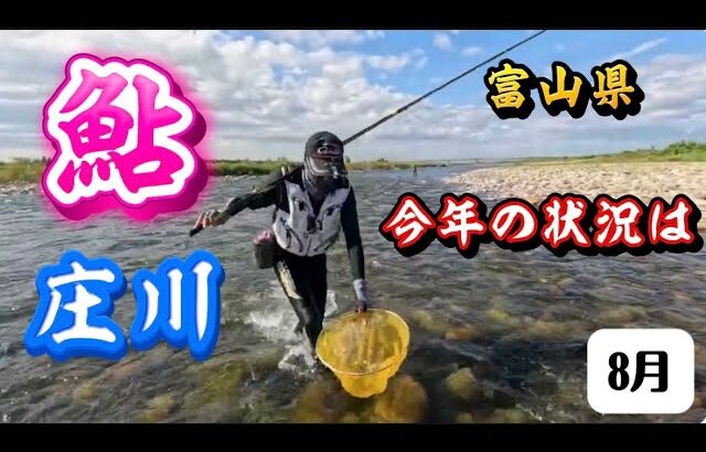 庄川の鮎釣りを台湾から訪れた4人が楽しむ