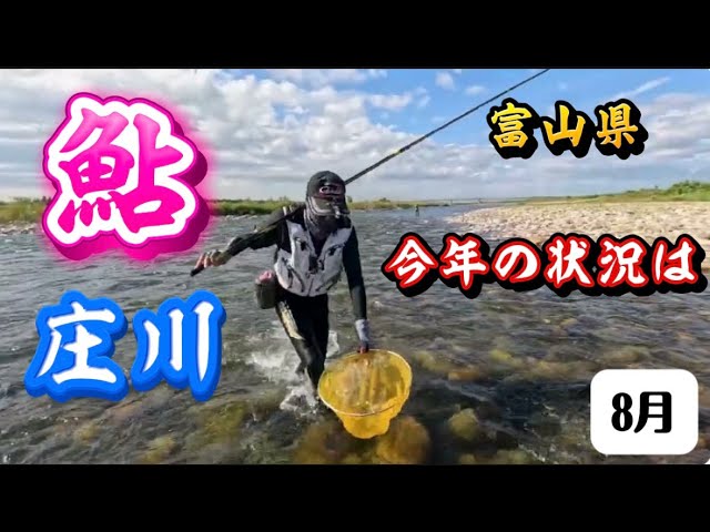 庄川の鮎釣りを台湾から訪れた4人が楽しむ