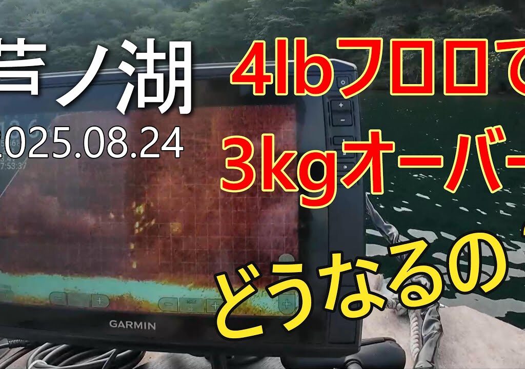 [水中ライブ映像] 4lbフロロカーボンラインに3kgオーバーのブラックバスが掛かったらどうなるのか？(in芦ノ湖)