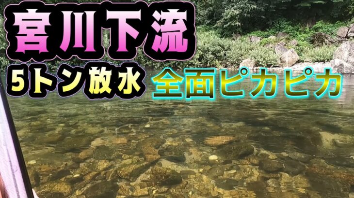 宮川下流5トン放水　全面ピカピカ