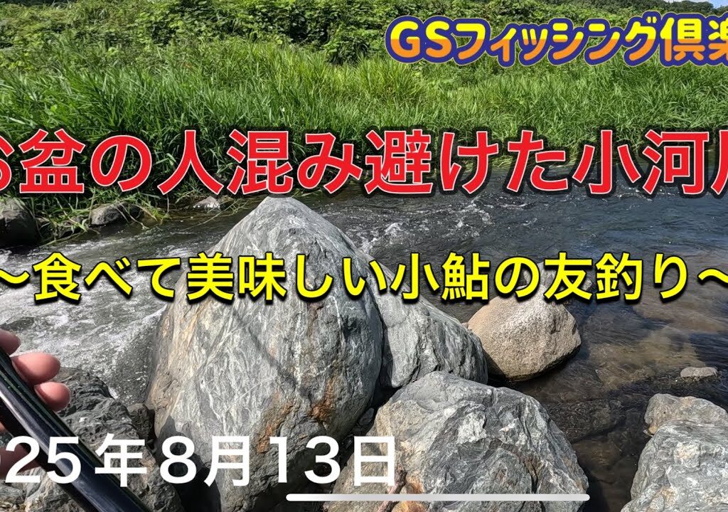 《鮎釣り》お盆の人混み避けた小河川 食べて美味しい小鮎の友釣り アバンサー75M【Vol.45】GSフィッシング倶楽部