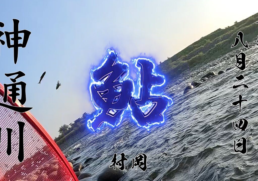 8 24 神通川 鮎