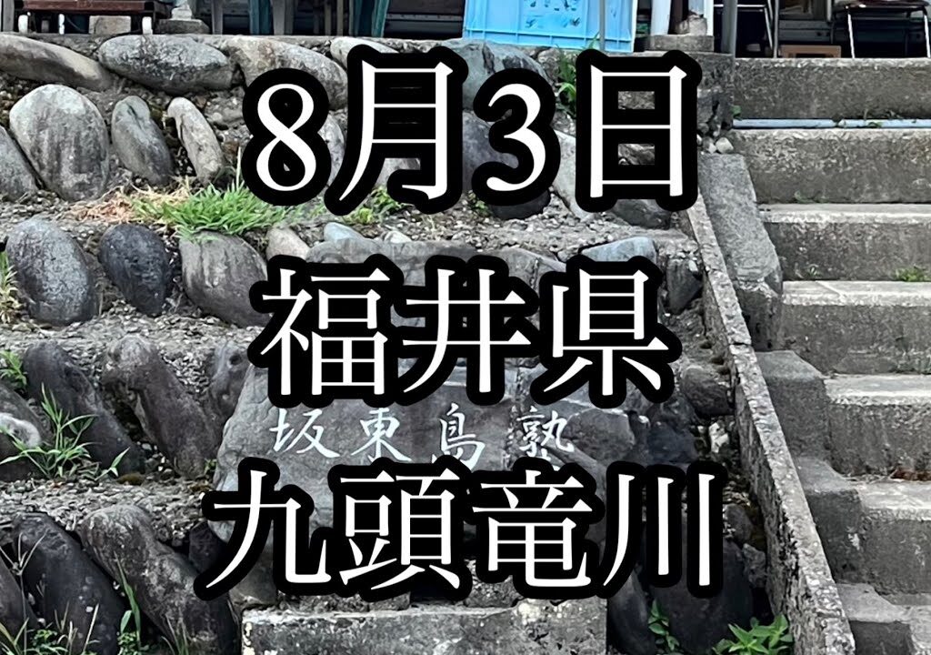 8月3日　福井県　九頭竜川　坂東島　鮎釣り