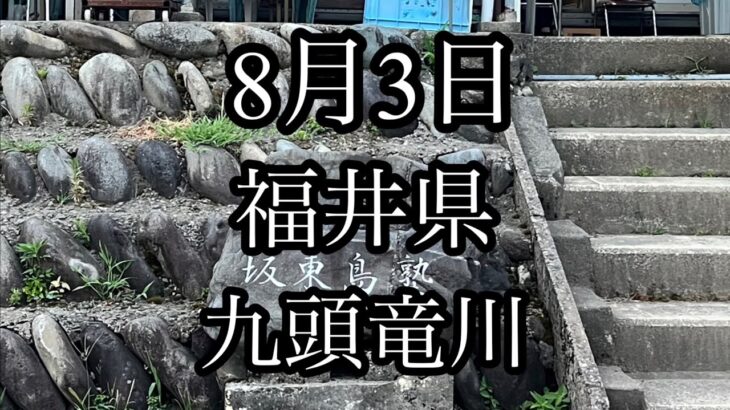 8月3日　福井県　九頭竜川　坂東島　鮎釣り