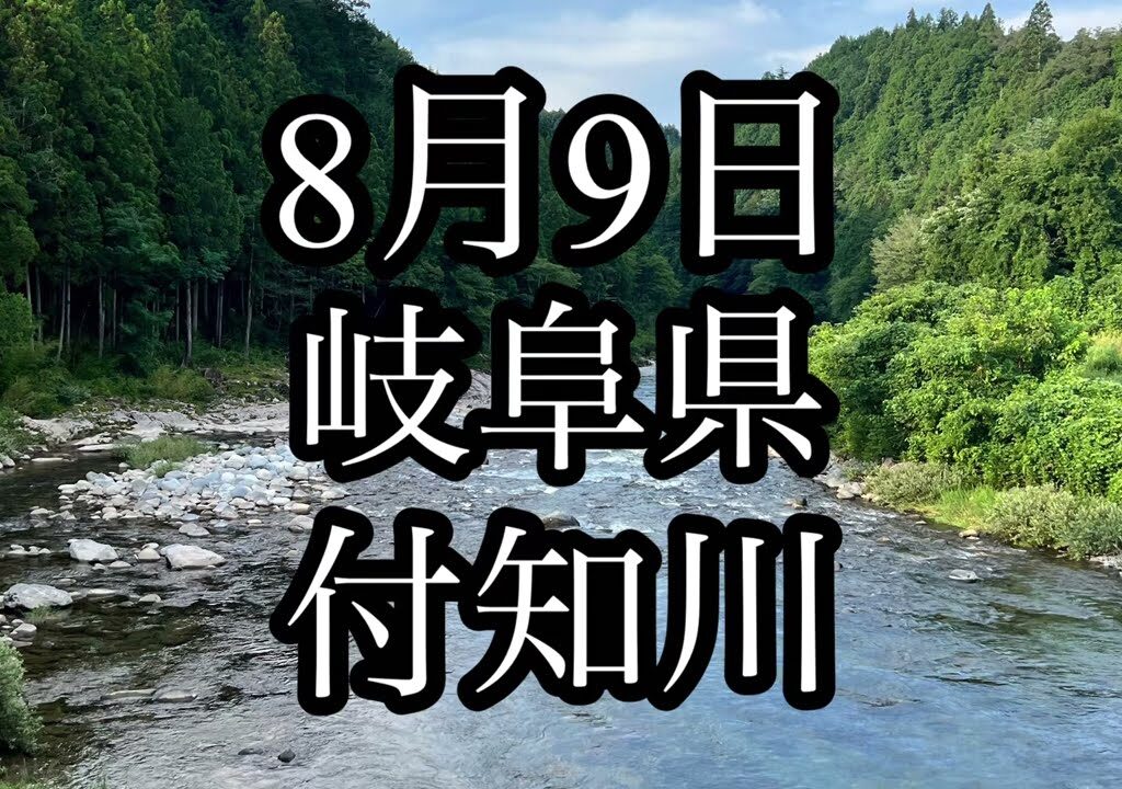 8月9日　岐阜県　付知川　鮎釣り　撃沈