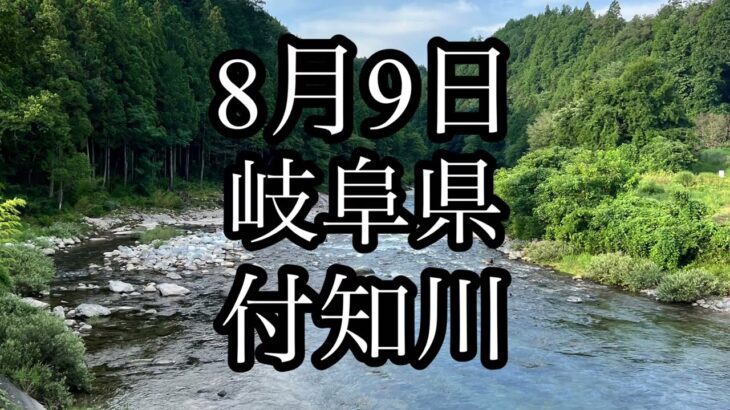 8月9日　岐阜県　付知川　鮎釣り　撃沈