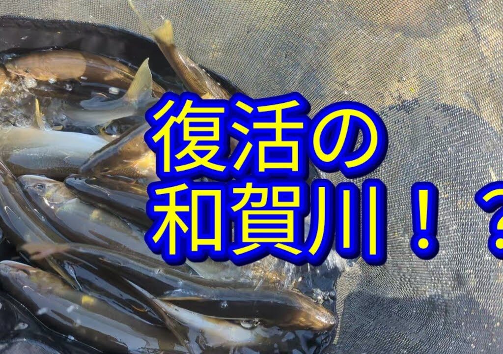 CHARAHEYの熱い夏2025〜迷釣記vol3〜