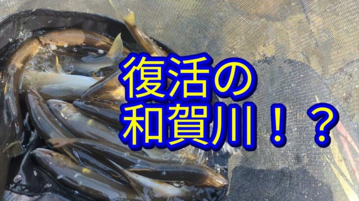 CHARAHEYの熱い夏2025〜迷釣記vol3〜