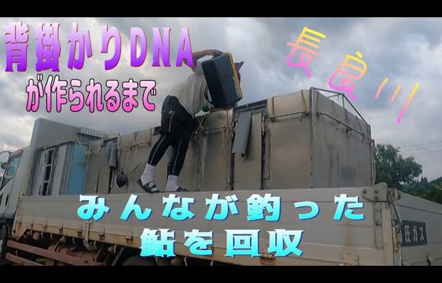 背掛かりDNAが出来るまで　みんなが釣った鮎を回収