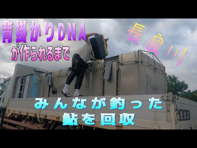 背掛かりDNAが出来るまで　みんなが釣った鮎を回収
