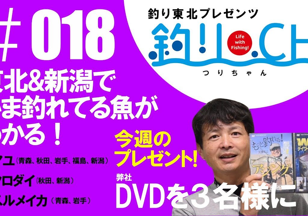【やっぱり夏はアユ釣り！秋田・岩見川の川の状況＆アユ初心者向け解説も！】【豪華DVDプレゼント！】つりちゃん＃018