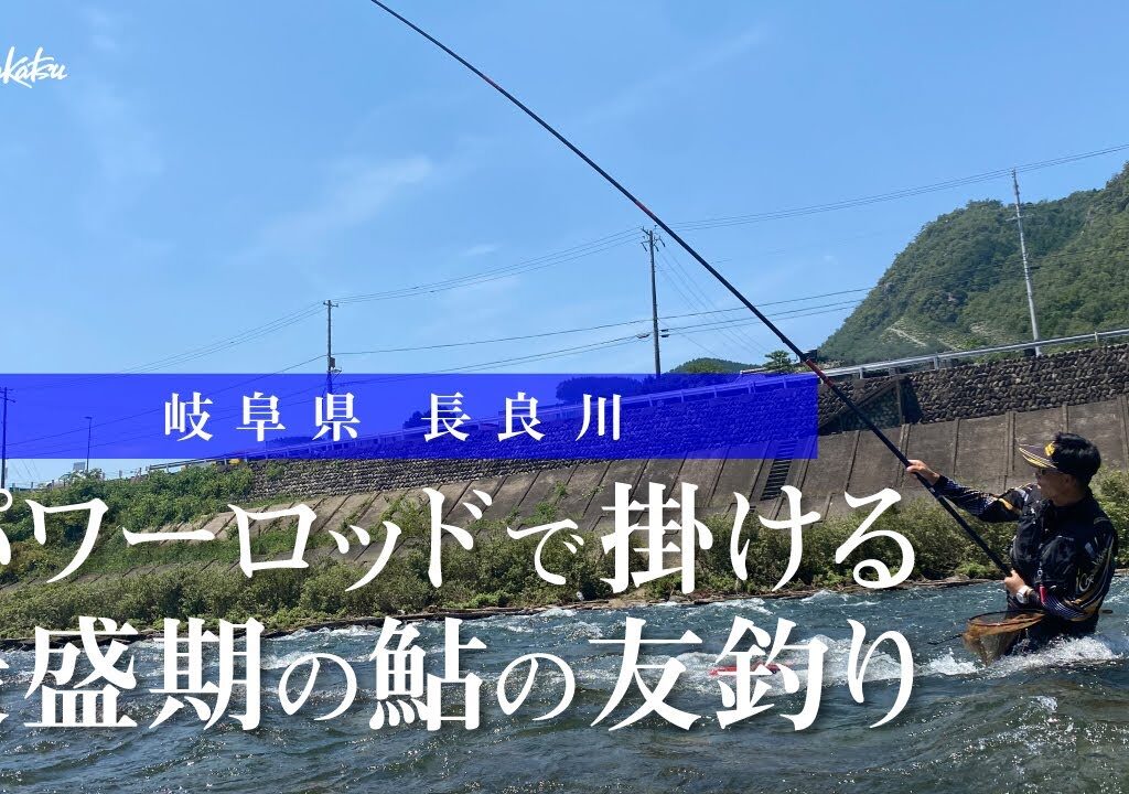 【FishingLover東海】パワーロッドで掛ける最盛期の鮎の友釣り～岐阜県 長良川～