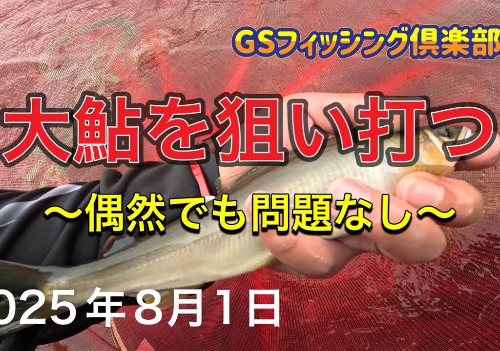 《鮎釣り》大鮎を狙い打つ 偶然でも問題なし アバンサーMT85【Vol.42】GSフィッシング倶楽部