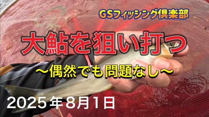 《鮎釣り》大鮎を狙い打つ 偶然でも問題なし アバンサーMT85【Vol.42】GSフィッシング倶楽部