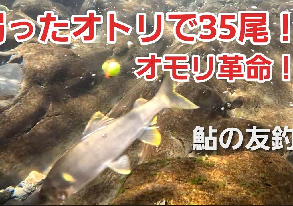 NO32 友釣り人生30年で今さら気づいた！これがオモリの力か…　友釣りオレ流