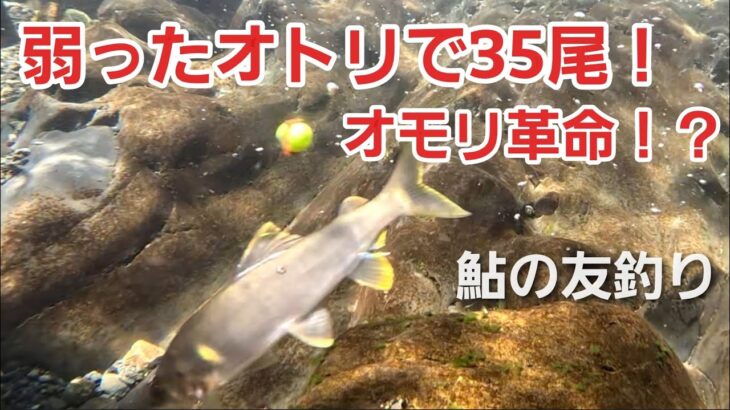 NO32 友釣り人生30年で今さら気づいた！これがオモリの力か…　友釣りオレ流