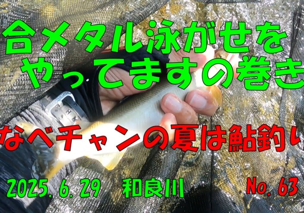 複合メタルで泳がせをやってますの巻‼　なべチャンの夏は鮎釣り　No.63　2025 6 29　和良川
