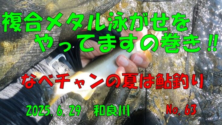 複合メタルで泳がせをやってますの巻‼　なべチャンの夏は鮎釣り　No.63　2025 6 29　和良川