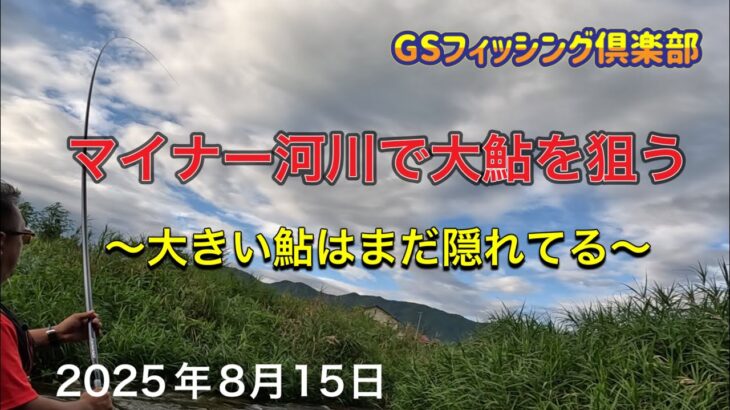 《鮎釣り》マイナー河川で大鮎を狙う 大きい鮎はまだ隠れてる アバンサーT85.75M【Vol.46】GSフィッシング倶楽部