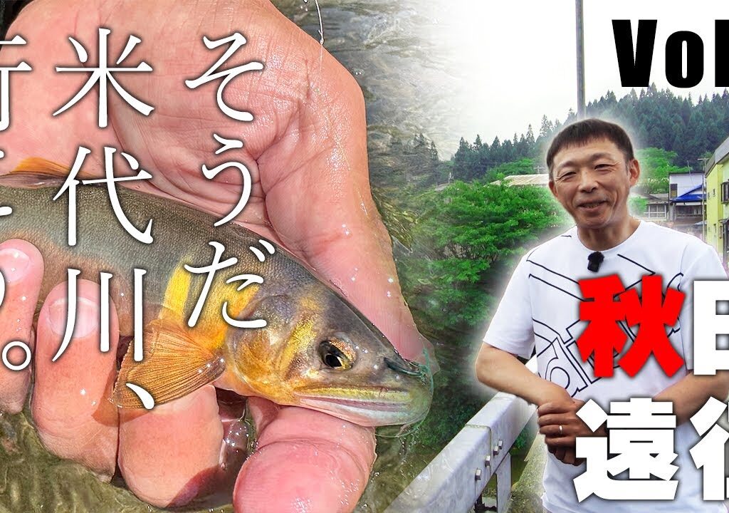 【夏休み企画】秋田県の米代川に大遠征！Vol.1【鮎釣り】