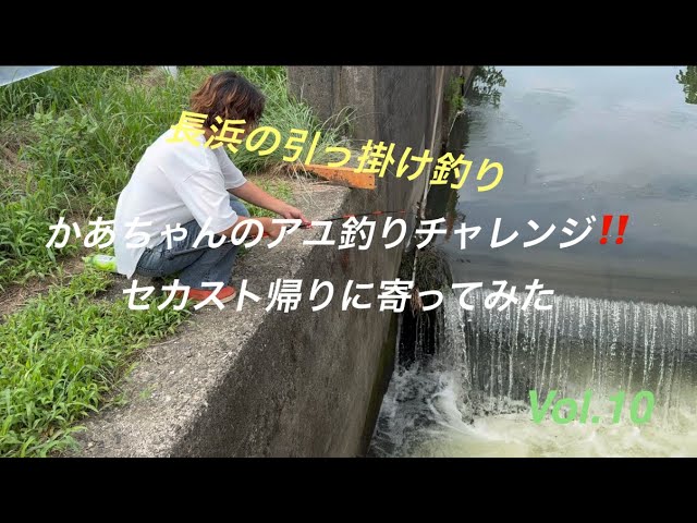 長浜の引っ掛け釣り　かあちゃんのアユ釣りチャレンジ‼️セカスト帰りに寄ってみたVol.10