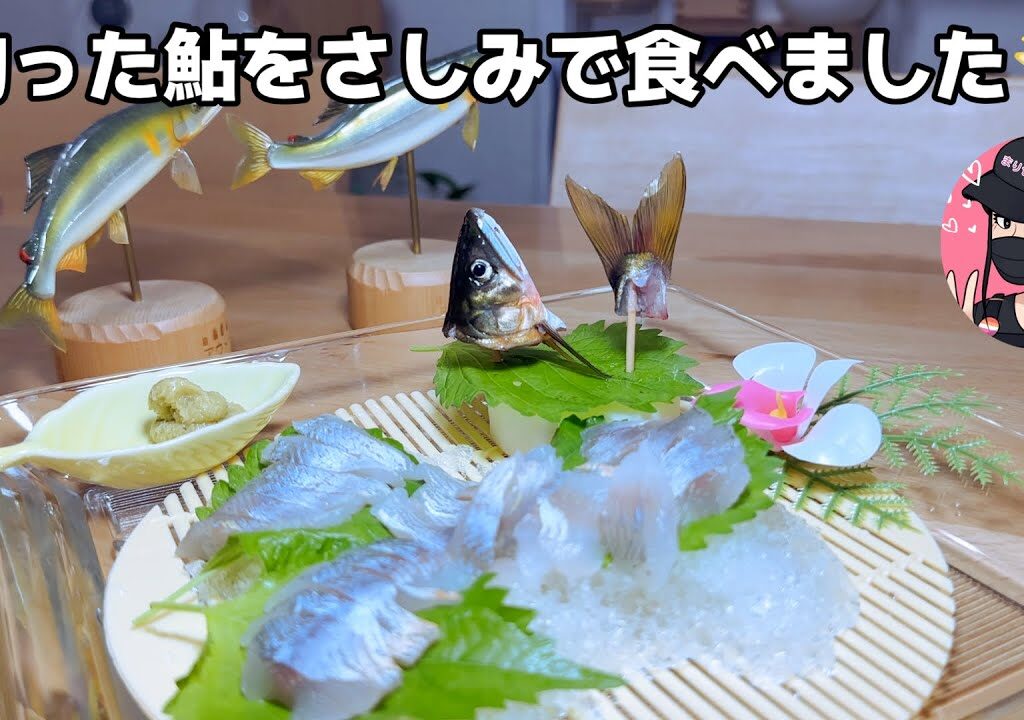 【鮎釣り】勝山の美鮎を刺身(challenge)