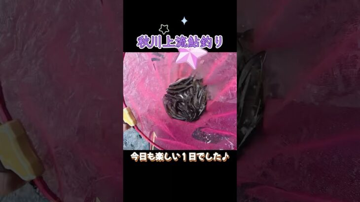 秋川鮎釣り！気になる方は本編見てね^ ^#shorts