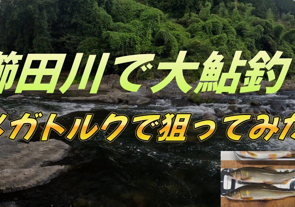 【櫛田川で大鮎釣り】終盤の櫛田川で大鮎狙ってみます。＃鮎釣り＃櫛田川＃大鮎